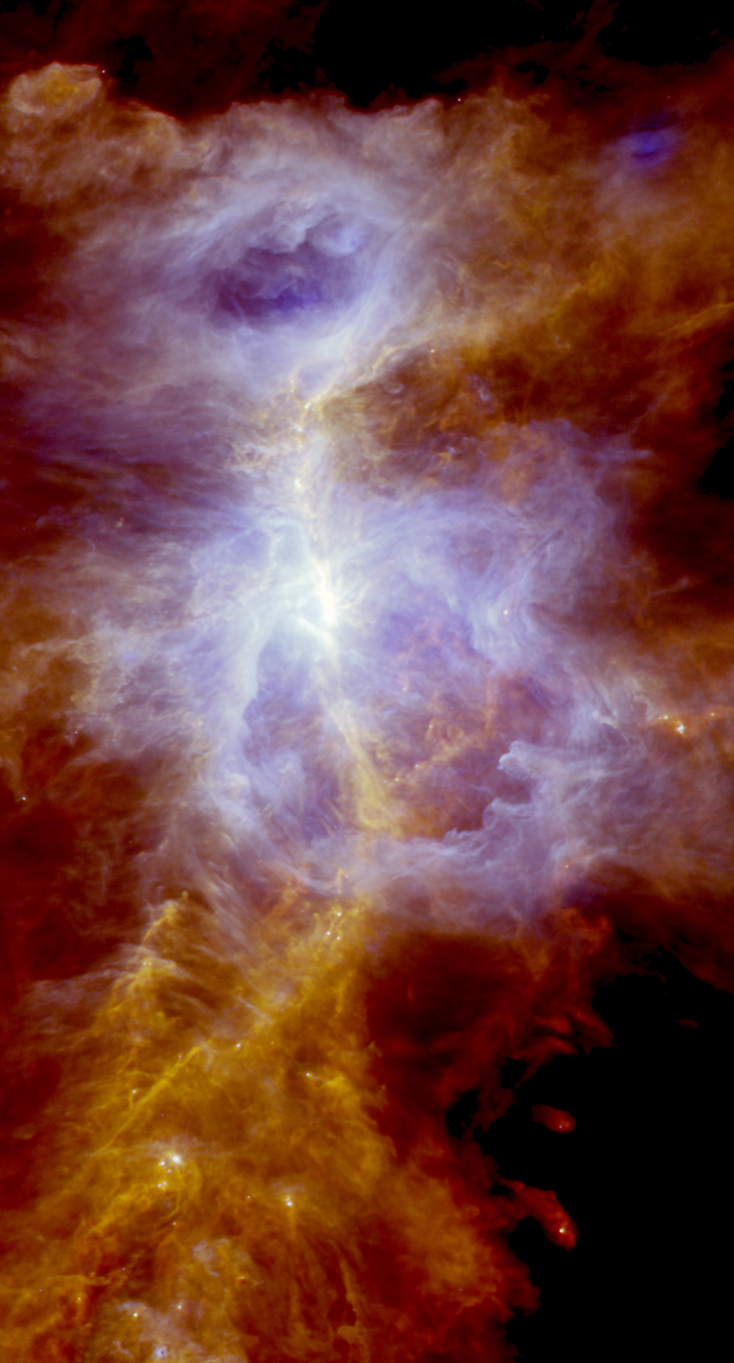 Orion A Map obtained by *Herschel*.